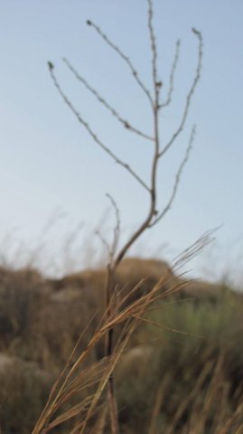 IMG_0297